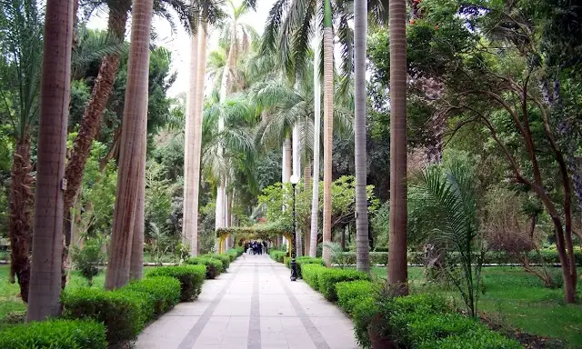 Kitchener's Island Botanical Garden