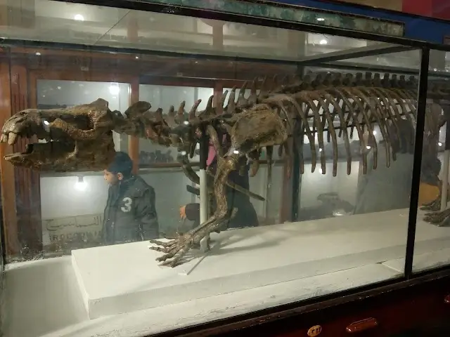 Egyptian Geological Museum