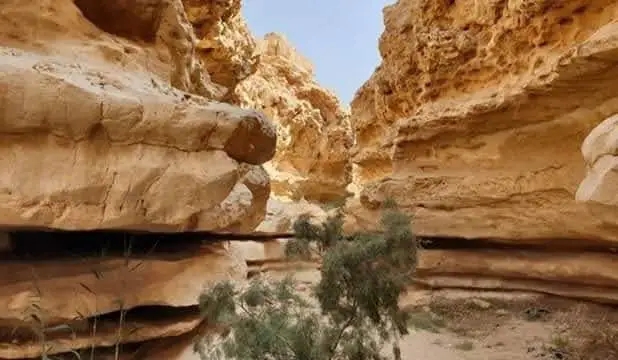 Wadi Degla Protectorate