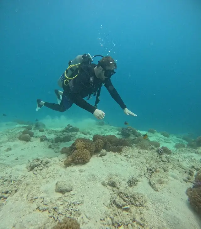 El gouna Blue corner diving clup & snorkelling& Boat trips &quad safari desert