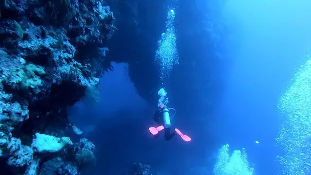 Elphinstone Reef