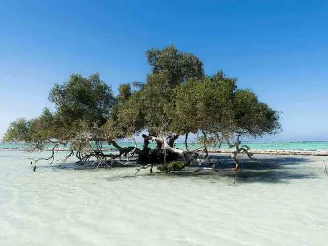 Wadi el Gemal Reserve