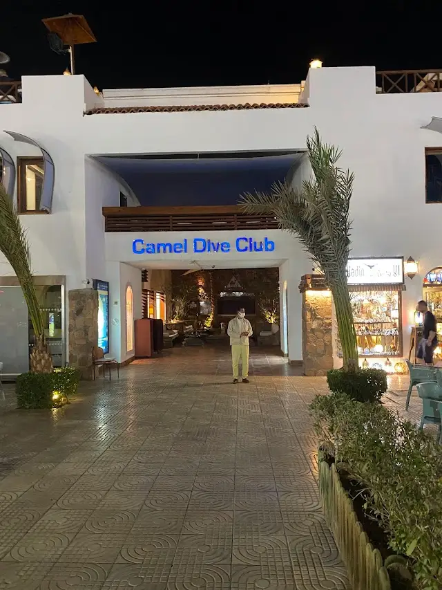 Camel Dive Club & Hotel