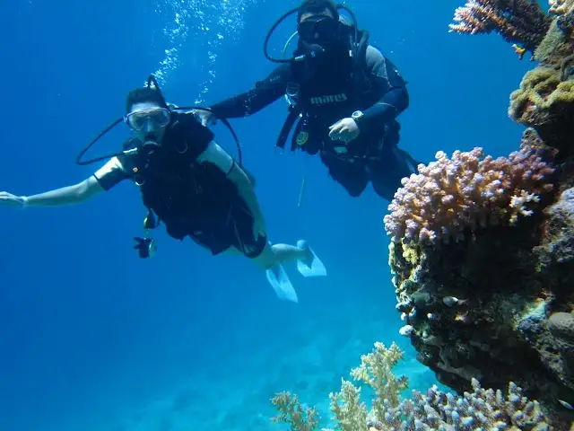 Shark & Yolanda Reef